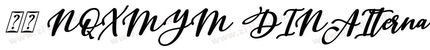 字体 NQXMYM DINAIterna字体转换